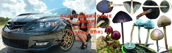 каннабис Алексин