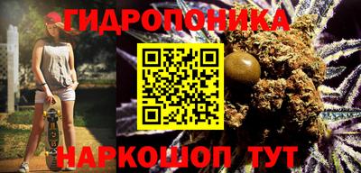МДПВ Можга