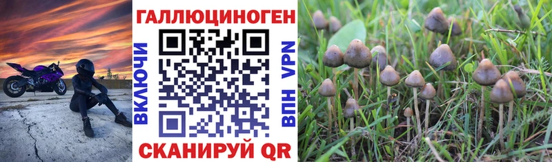 Псилоцибиновые грибы GOLDEN TEACHER  Тобольск 