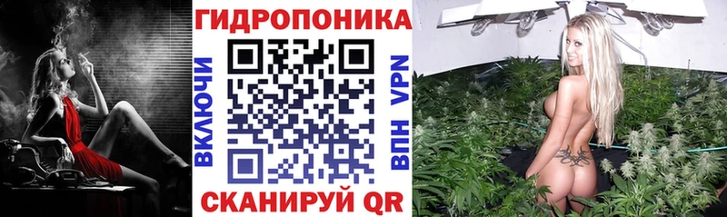 Бошки Шишки OG Kush  Тобольск 